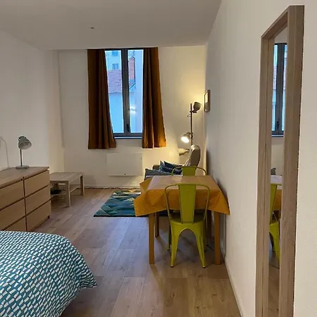 Apartment Studio Meuble 6e Lyon